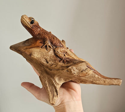 Hand Carved Wooden Gecko Ornament/Sculpture