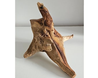 Hand Carved Wooden Gecko Ornament/Sculpture