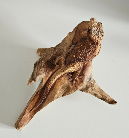 Hand Carved Wooden Gecko Ornament/Sculpture