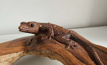 Hand Carved Wooden Gecko Ornament/Sculpture