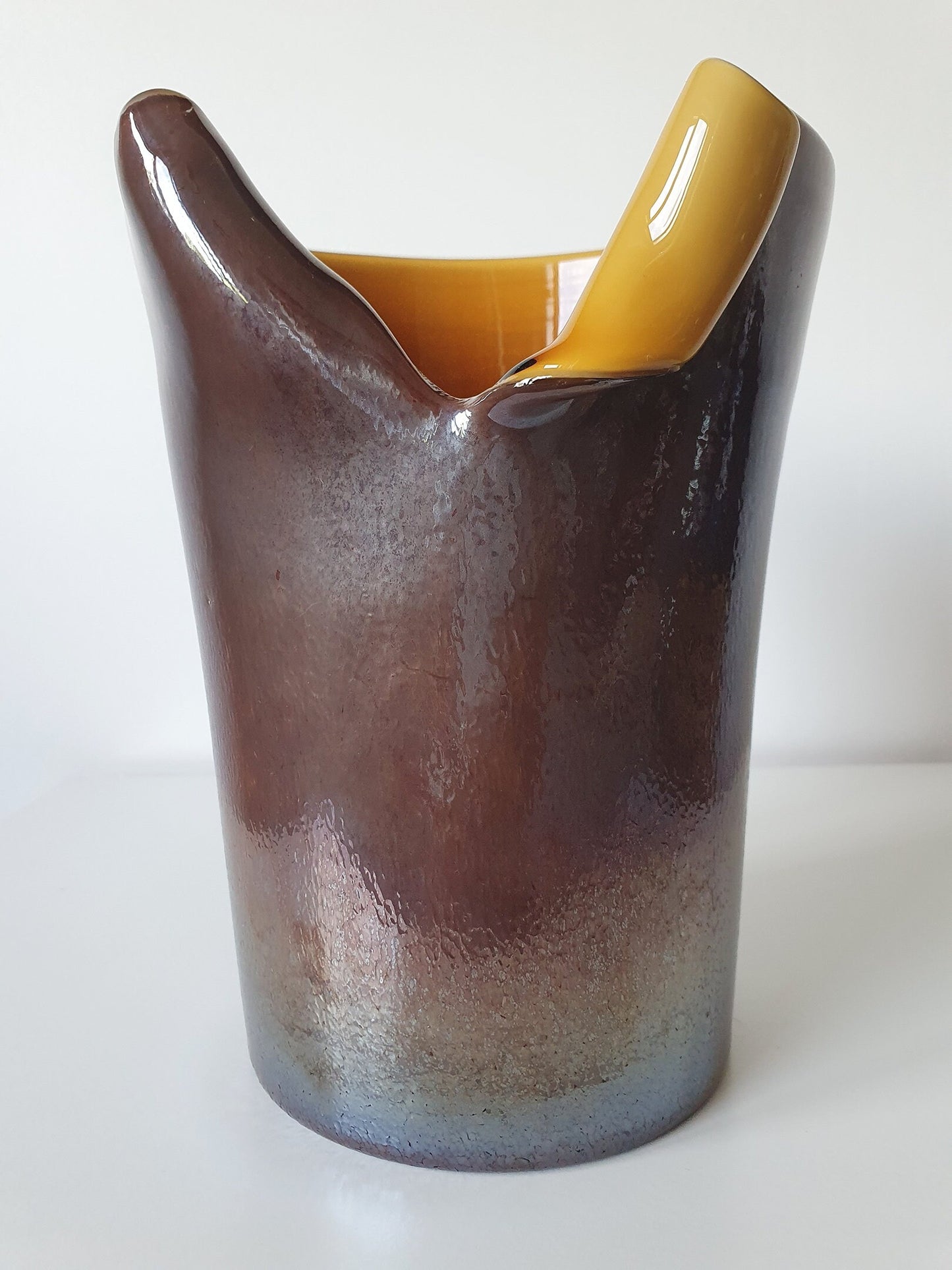 Unusual Shape Decorative Glass Vase