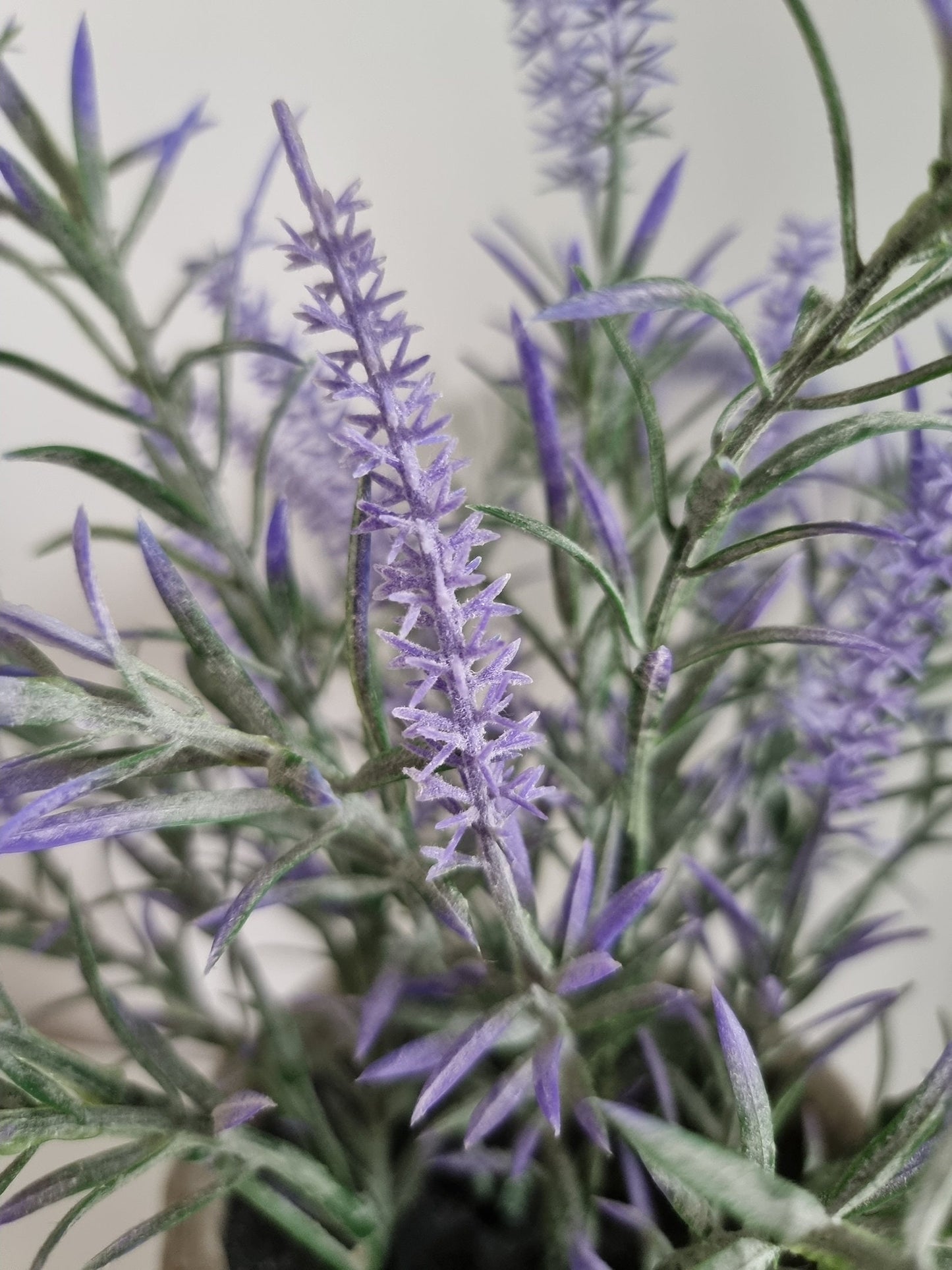 Realistic Artifical Lavender Potted Plant