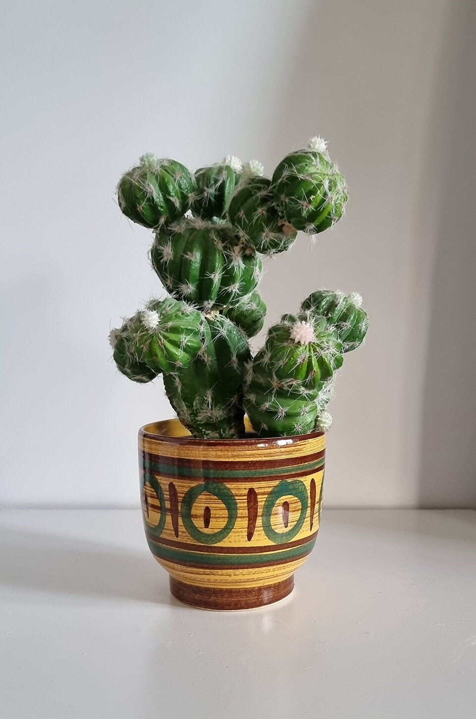 Mid-Century Small Ceramic Plant Pot/Planter