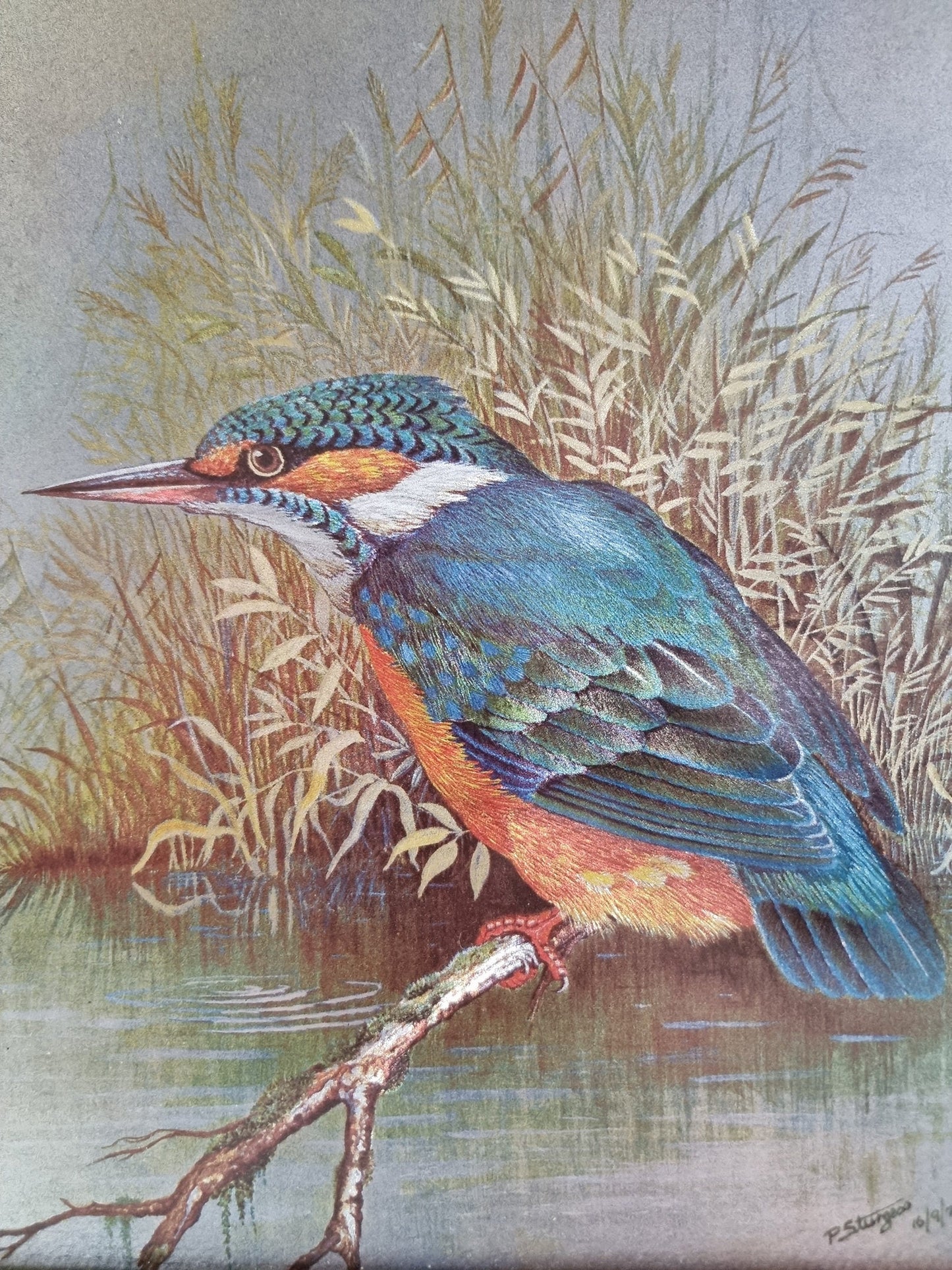 Vintage P. Sturgess Foil Art Kingfisher Bird In Wooden Frame